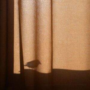 Roman Blinds